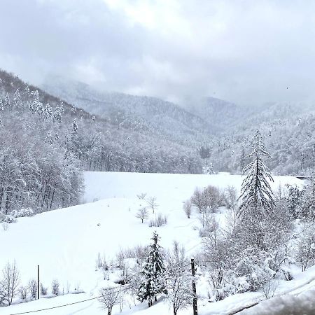 Nature View Apartment Braşov Exterior foto